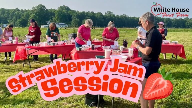 Strawberry Jam Session